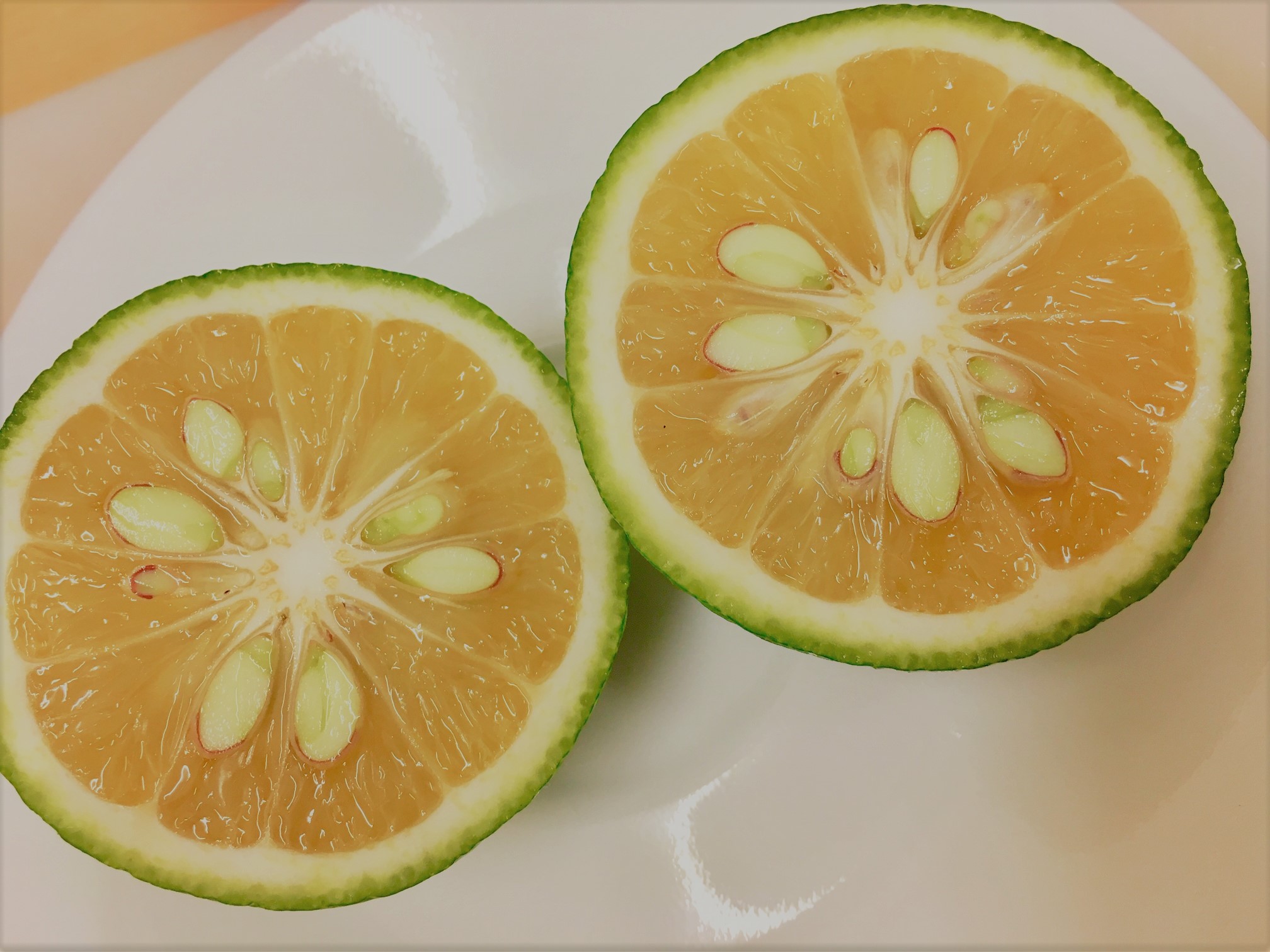 カボスの美味しい使い方 幸青果ブログ