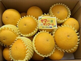 大分の甘くて美味しいみかん | 株式会社 幸青果 | みかん紹介