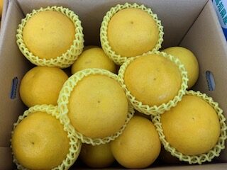 078みかんページ 国華園オンラインショップ / みかん・柑橘類